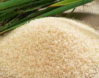 Урожай рису на Херсонщині склав 45 тис. тонн